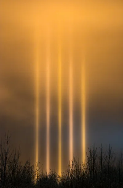 Powstaniec - Słupy słoneczne z tej zimy sfotografowane w Albercie, Kanada 6 listopada...