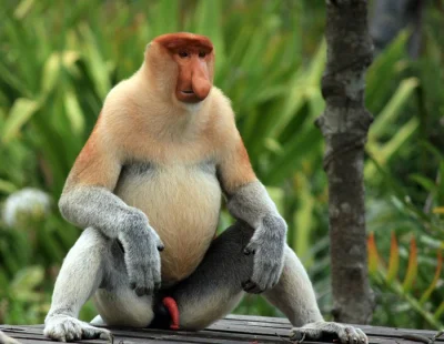 r.....a - @xDawidMx: o k---a, polak (✌ ﾟ ∀ ﾟ)☞