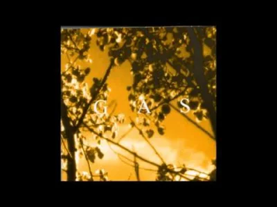 Istvan_Szentmichalyi97 - GAS - Königsforst 5

#muzyka #szentmuzak #gas #ambient #ambi...