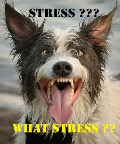 c.....a - Było ostatnio znalezisko o tym że stres negatywnie wpływa na pamięć. Dużo z...
