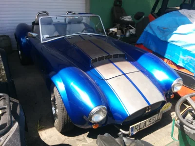 anonim1133 - Shelby Cobra
#carspotting