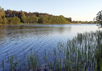 S.....r - JEZIORO OSOWSKIE (Espenkruger See), bezodpływowe, o powierzchni 29,1 ha. Na...