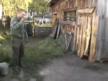 Emdowu - xD

#gif #smiesznypiesek #psy #humor