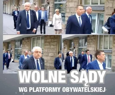 smotek - @alphabeta: 
Wolne sądy i demokracja wg Peło i LGBT