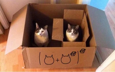 Altru - #koty #heheszki #matematyka #pudelka