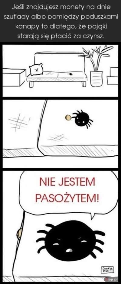 meduzen - #true #pajaki #humorobrazkowy