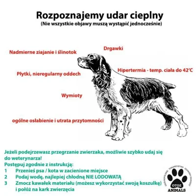 CzarnyFlamaster - Temperatury na dworze są coraz wyższe, więc warto przypomnieć jakie...