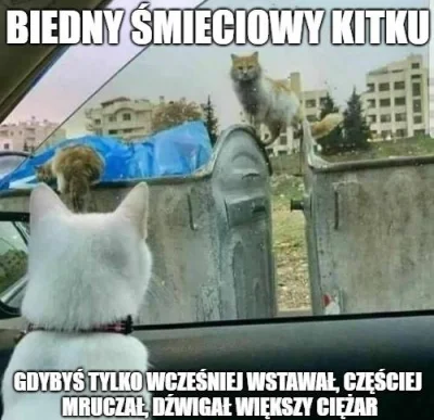 buk0wski - O jak kwikłem z rana :D

#bekazlibertarian #bekazliberałów #kapitalizm #...