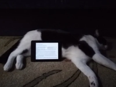 mmaku89 - #kot #koty #kindle
Mireczki czy moja podstawka pod Kindle fituje?