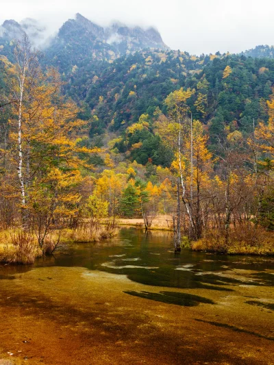 Lookazz - Poszedłbym spać, ale nie mogę... ب_ب 


 Tashiro Pond



#japonia #fotograf...