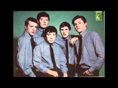 n.....r - The Animals - Don't Let Me Be Misunderstood

#theanimals #muzyka #60s #klas...