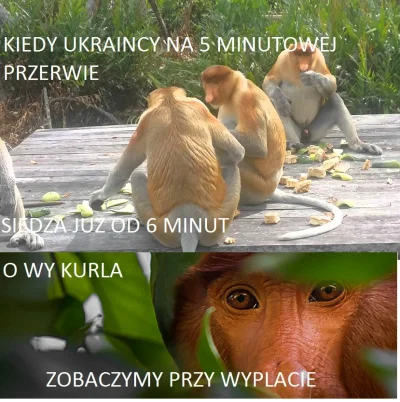 kryptomania - #heheszki #polak #cebuladeals 
#nosacz