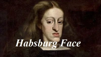 NapoleonV - @Sverc: 
Habsburg Face