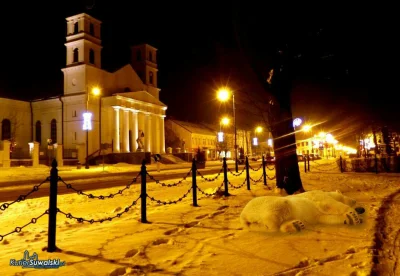 dawidf - Wczorajsze znalezisko w #suwalki, pojawiły się pierwsze niedźwiedzie polarne...