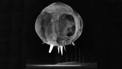 Britney - Zdjęcie przedstawia pierwsze milisekundy wybuchu bomby atomowej. 

Czyli ...