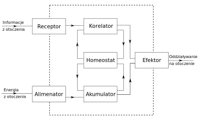 look997 - @Qardius: Potrzeba do tego systemu autonomicznego:
https://pl.wikipedia.or...