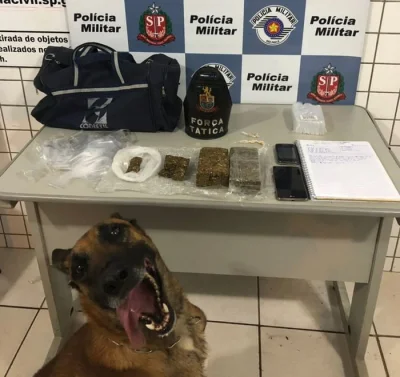 cestis1 - Pies policyjny po całym dniu węszenia narkotyków ( ͡° ͜ʖ ͡°)
źródło #hehes...