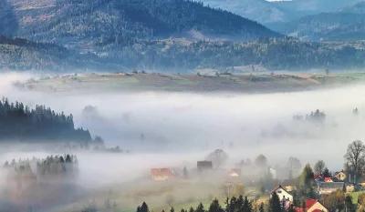 sisusisusisu - Polakom gratulujemy Żywca!