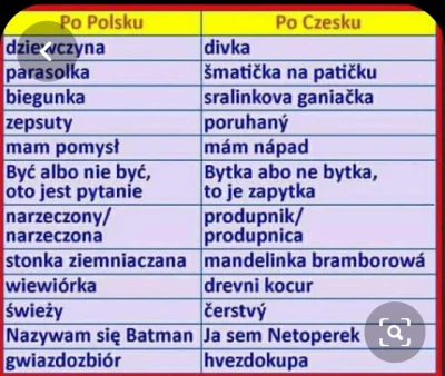 nicnieslyszalam - To prawdziwe tłumaczenie? (｡◕‿‿◕｡) #kiciochpyta #czeski
