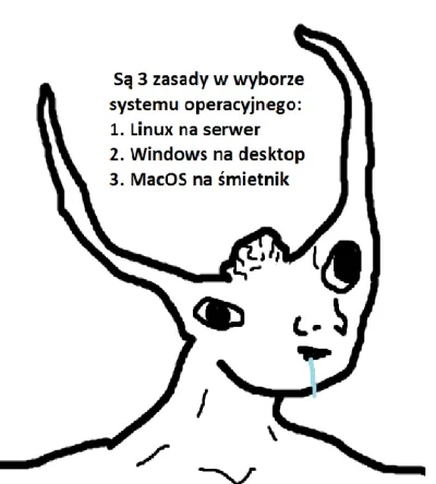 swagerstom - #heheszki #humorobrazkowy #sysadmin #humorinformatykow #brainlet #linux ...