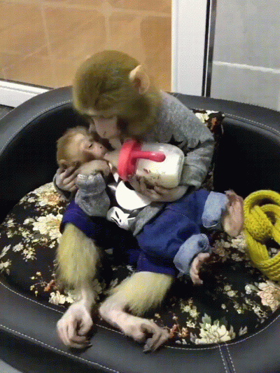 silentpl - Nie wiem jaka to narodowość ale piękna rodzinka. (warto czekać!)

Obserw...