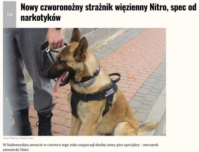 mudkipz - Nitro to jest przyjaciel Majora.

W białostockim areszcie w czerwcu 2017 ...