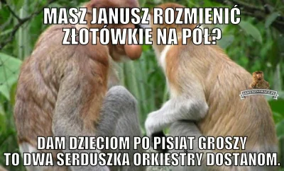 barteek2313 - #nosaczsundajski #heheszki #humorobrazkowy #polak #nosacz