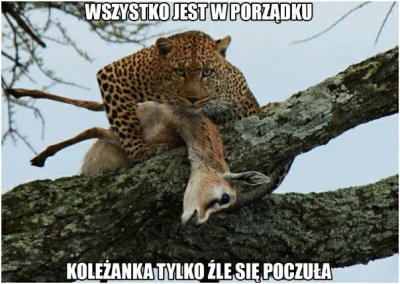 WooSan - No i koleżanki zostawiły ją samą...