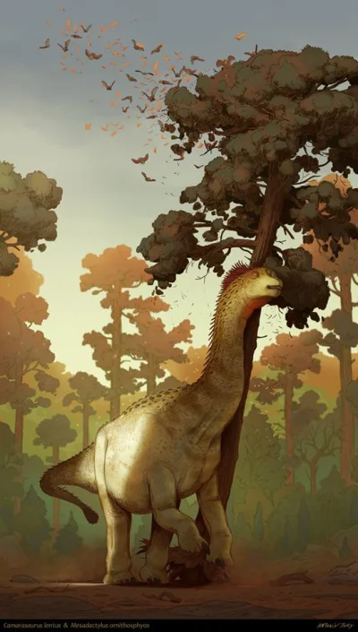 Prekambr - Camarasaurus lentus spłoszył stado pterozaurów z gatunku Mesadactylus orni...