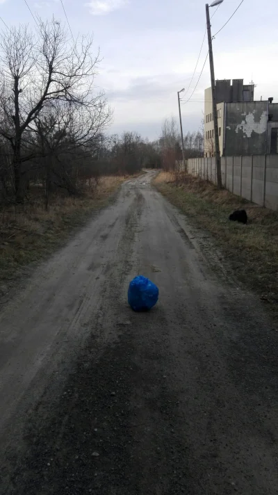 c.....i - Ja dzisiaj rano wzięłam ze sobą 60l worek na śmieci, bo moje trasy spacerow...