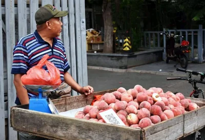 boguchstein - Chiny to dość postępowy kraj. Tutaj mamy pan, który sprzedaje owoce z m...