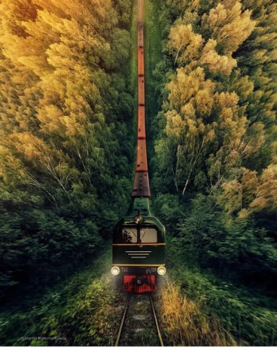 Mesk - Pociągiem przez las #fotografia #las #drony #kolej #pociagi #pociagiboners #ci...