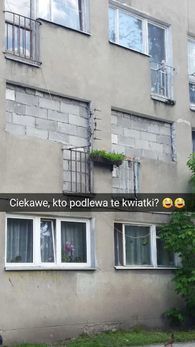 MiejscaWeWroclawiu - Jeden z Wrocławskich bloków ( ͡° ͜ʖ ͡°) 

#miejscawewroclawiu ...