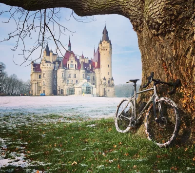 fixie - 355903 - 118 - 85 = 355700




W tym tygodniu to już 203km!
#rowerowyrownik #...