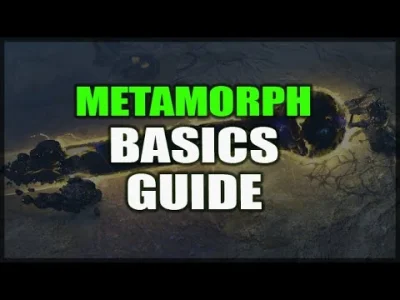 KaszelTesciowej - #pathofexile
PATH of EXILE: Metamorph Basic Mechanics Guide - How ...