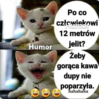 szczekacz666 - #grazynacore
HUMOR
HAHA