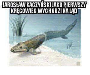 fillion - #heheszki #humorobrazkowy #dobrazmiana #bekazpisu #polityka