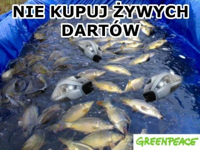 grajkoo - Darty bez nosów... czują się jak ryby w wodzie!
#karp