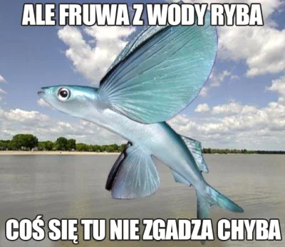 K.....G - #ryby #humorobrazkowy #heheszki #kosmonauta #wolnoscdlakosmonautynawykopie