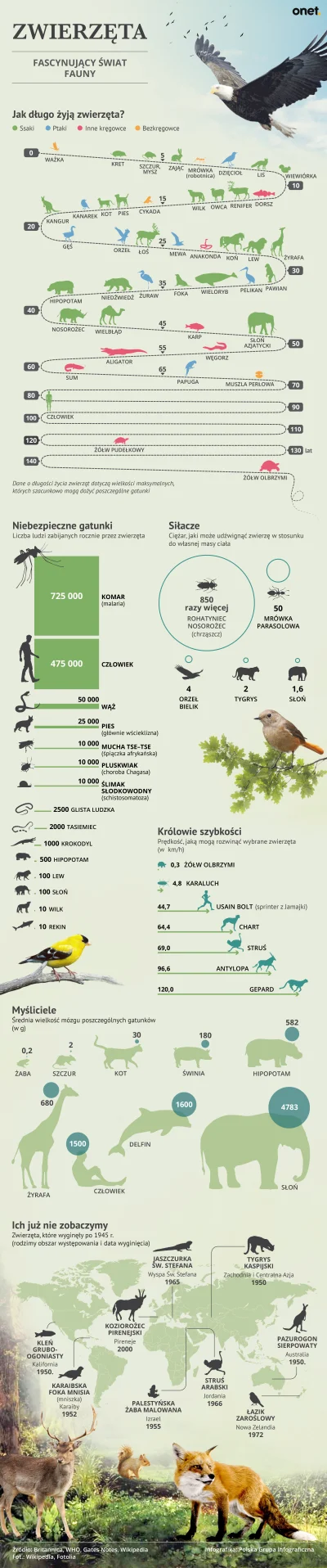 Lifelike - #nauka #biologia #przyroda #zwierzeta #ciekawostki #infografika #graphsand...