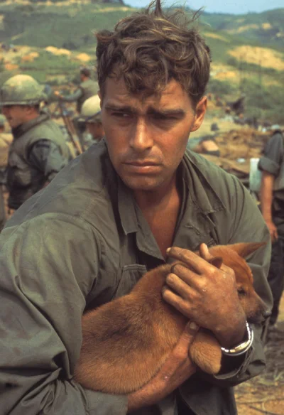 myrmekochoria - Amerykański żołnierz z psem podczas ofensywy Tết (baza Khe Sanh), 196...
