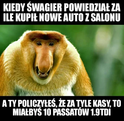 Szef_Wypoku - #nosacz #polak #memy #heheszki #humorobrazkowy #malpapolak #nosaczsunda...