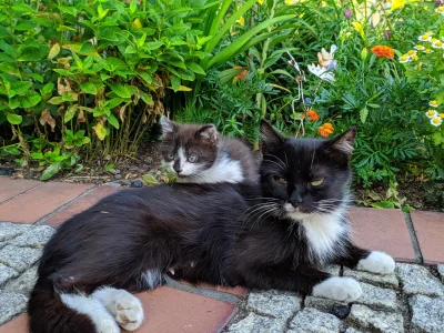 Czerwu - Ten mały to był moj ulubiony, ukradli mi go