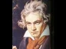 ekonobrocka - Ale bym pograła na pianinie. (｡◕‿‿◕｡) #muzykaklasyczna 
Beethoven-Fur ...