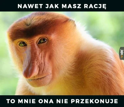 Trustm3 - Autentyk z dzisiaj.
#polak #janusze #polska #heheszki #humorobrazkowy