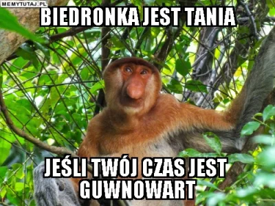 Adest - #polak #nosaczsundajski #biedronka #humorobrazkowy #heheszki