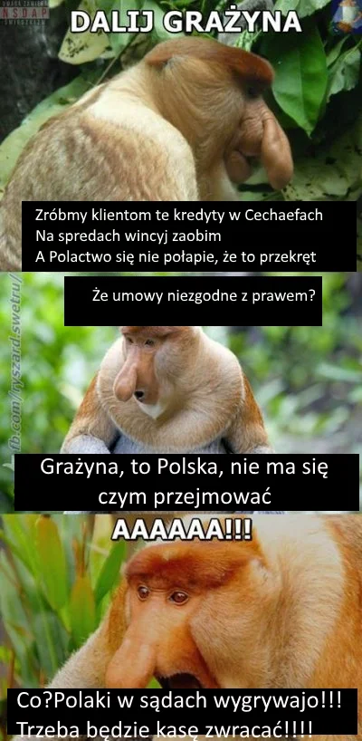 marekrz - @JanuszKek: Przerobiłem na wersję zgodną z rzeczywistości.
Beka z bankster...