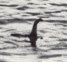 unmonitoredalias - @krystiano_ps3: Trawnikowe Nessie