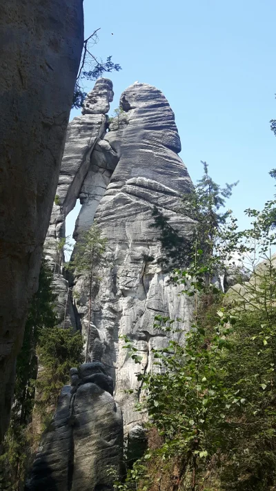 Kac_ - Zdjęcie zrobione w jednym z Skalnych Miast w Czechach, co ciekawe ta skała nos...