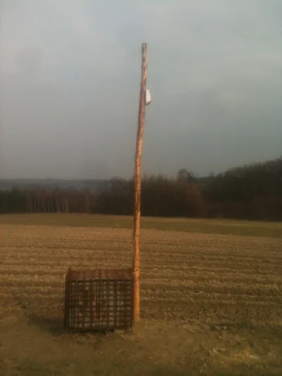 Jajuzniezyjezyjac - Patrzcie tylko co znalazłem w polu ktoś wie co to?